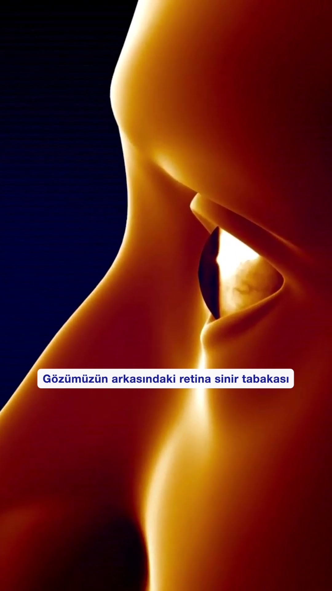 Bazekol Sağlık Grubu Facebook ad: Daha fazla bilgi için Bazekol Sağlık Grubunu takip…