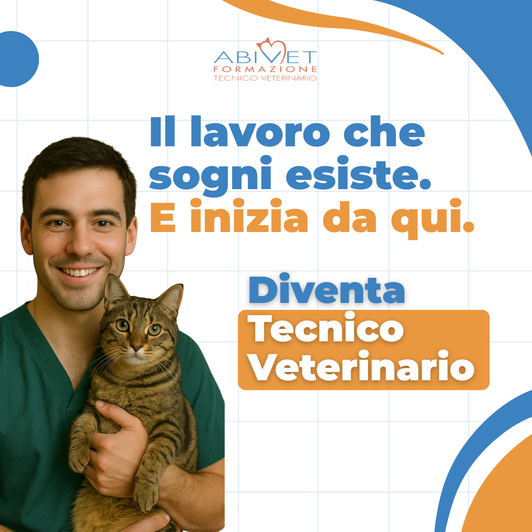 Abivet Facebook ad