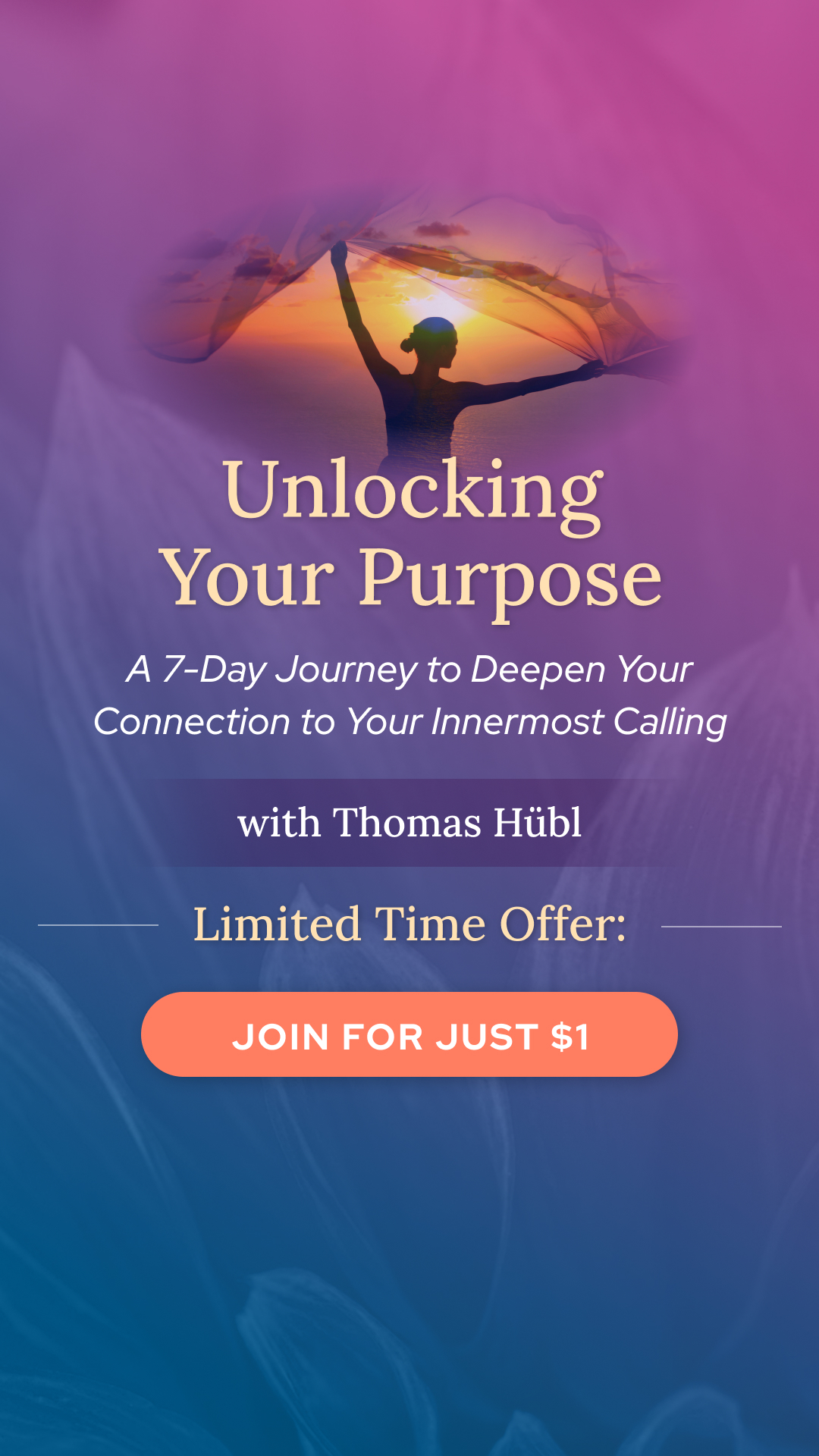 Thomas Hübl Facebook ad from Jun 6, 2026