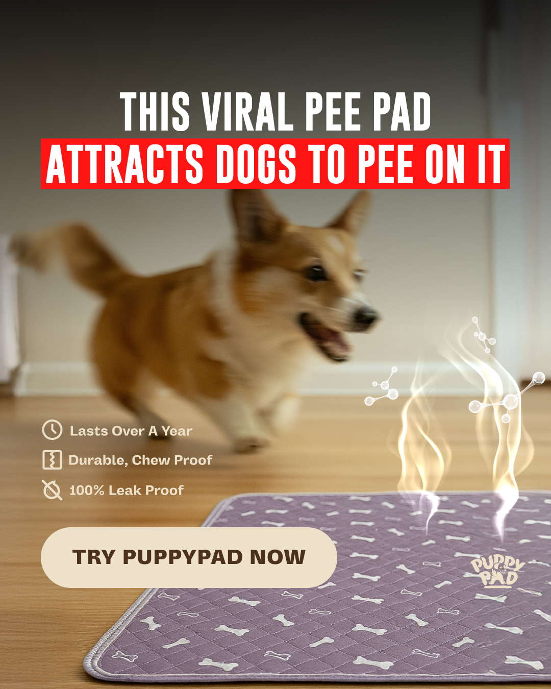 PuppyPad Facebook ad