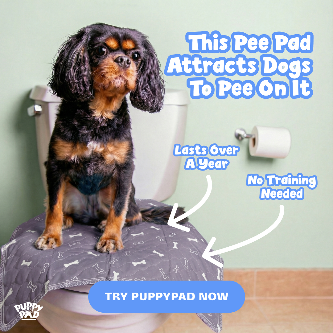 PuppyPad Facebook ad