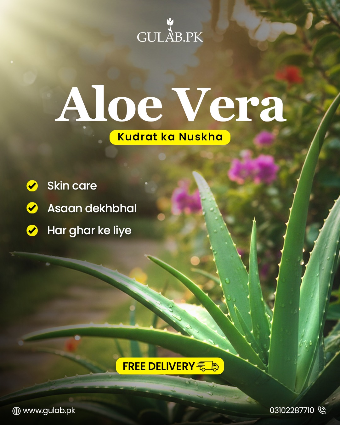 Gulab.Pk Facebook ad: FREE DELIVERY