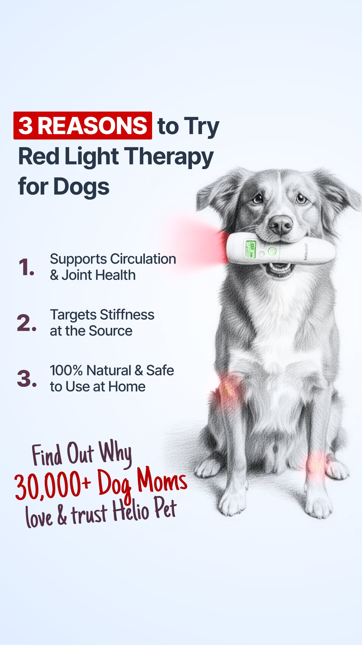 Helio Pet Facebook ad