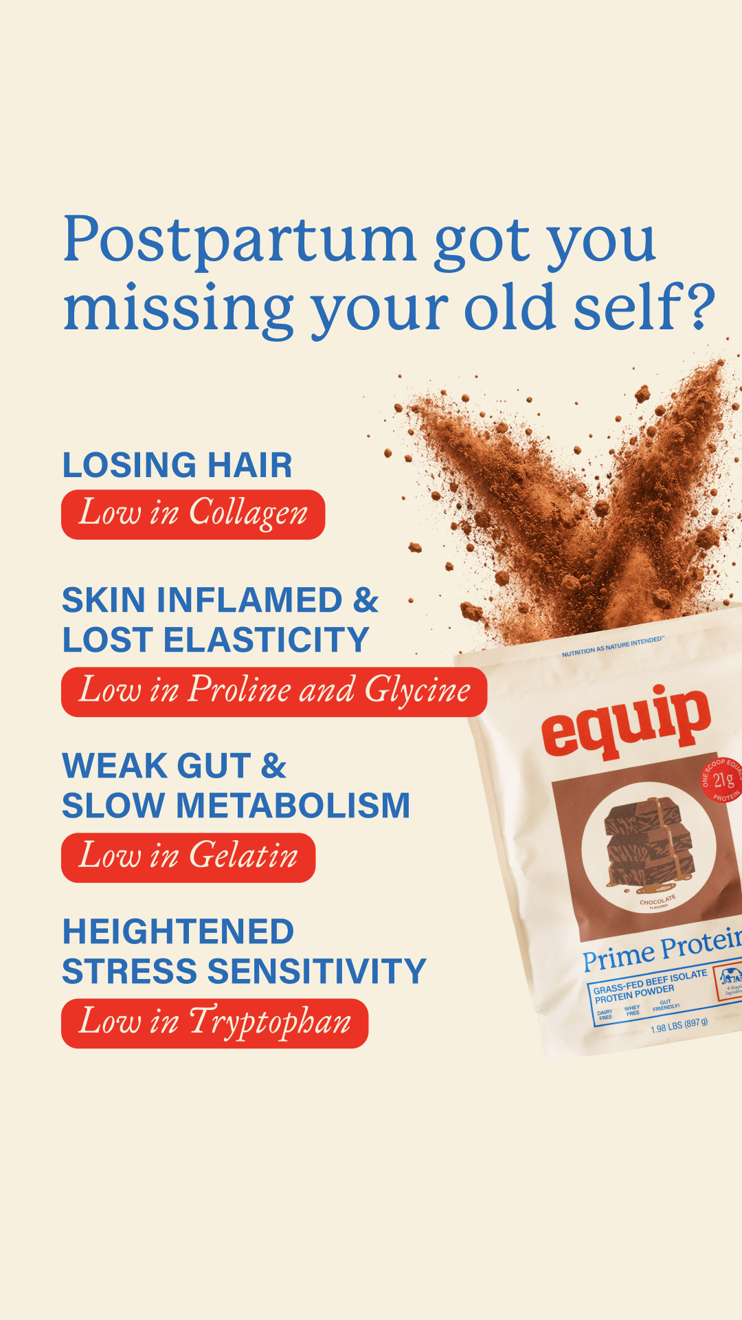 Equip Facebook ad