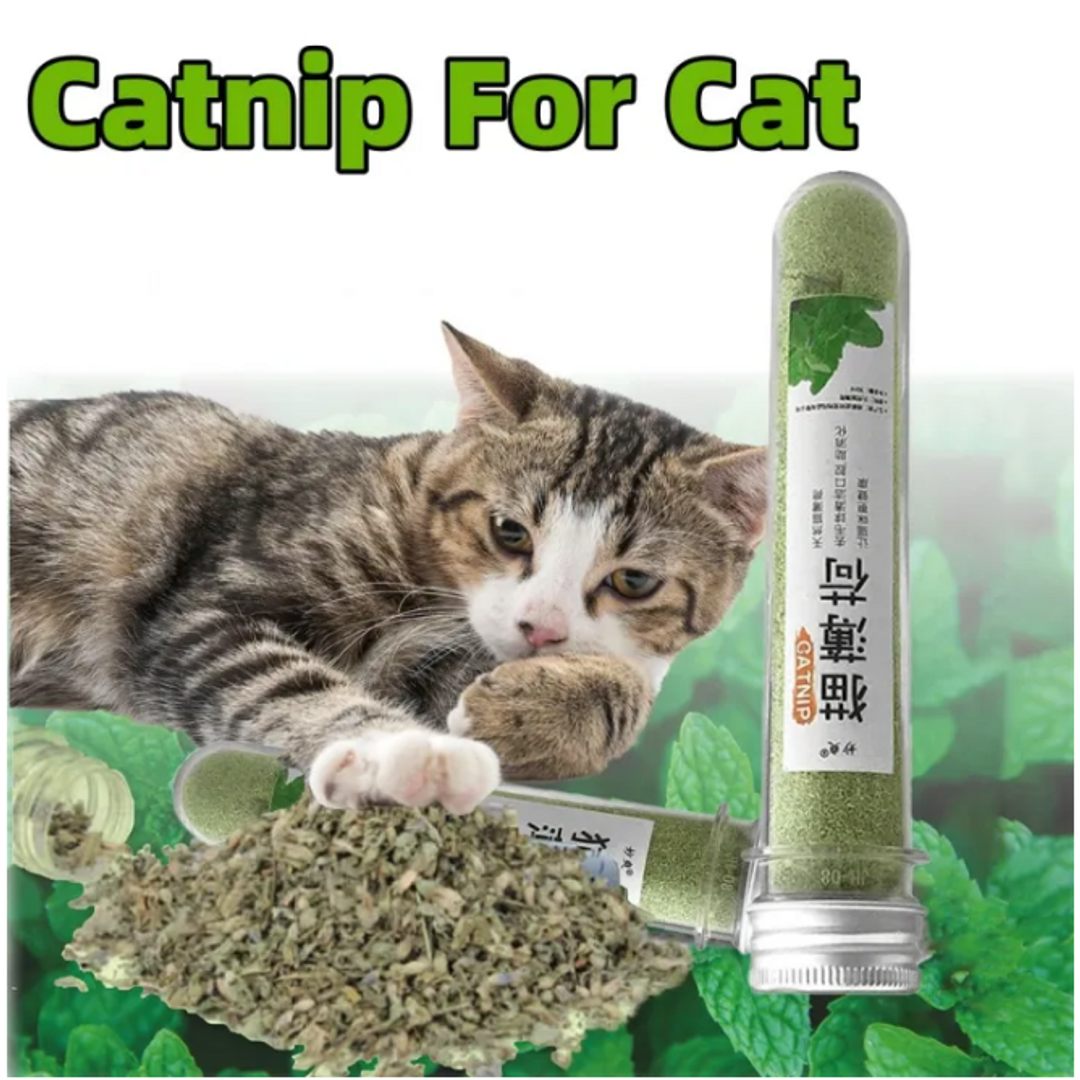 The Bow point ~ (Pet accessories) Facebook ad
