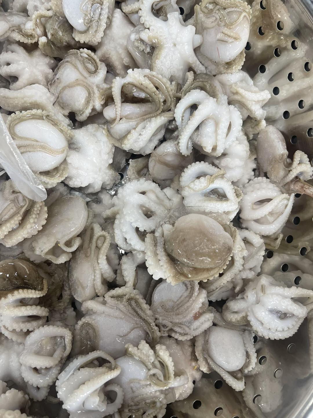 Nhà Máy 24h Seafood Facebook ad: CUNG CẤP BẠCH TUỘC SỐ LƯỢNG LỚN