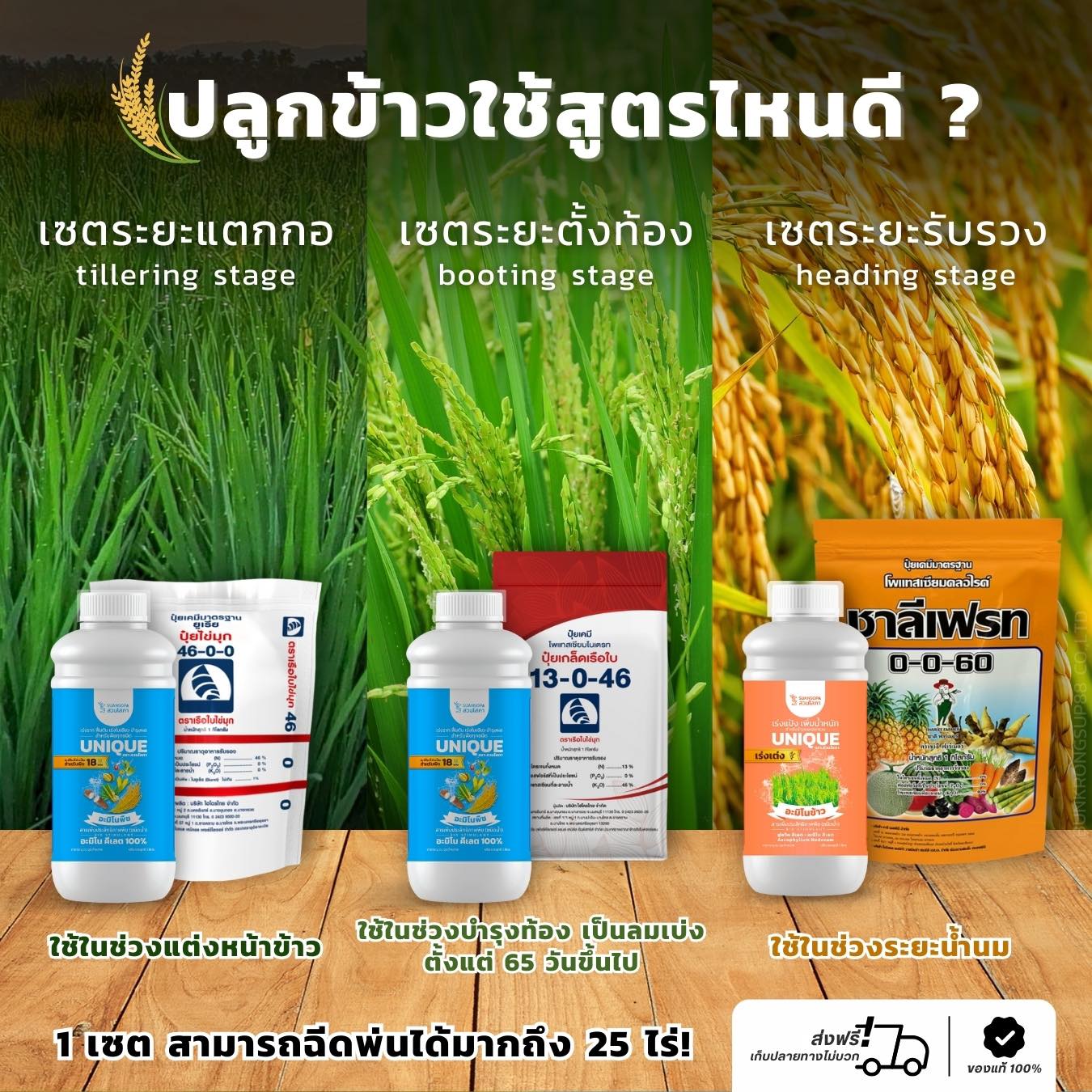 เกษตรนางาม Facebook ad