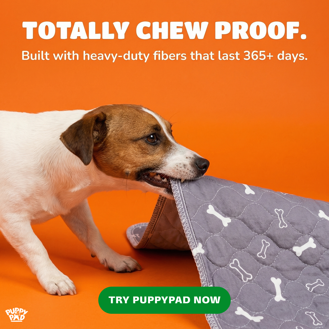 PuppyPad Facebook ad