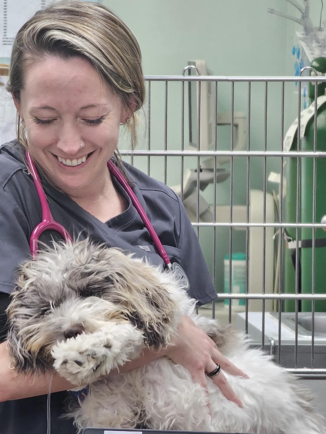 Groveport Canal Animal Hospital Facebook ad: New Clients Welcome, Book Today!