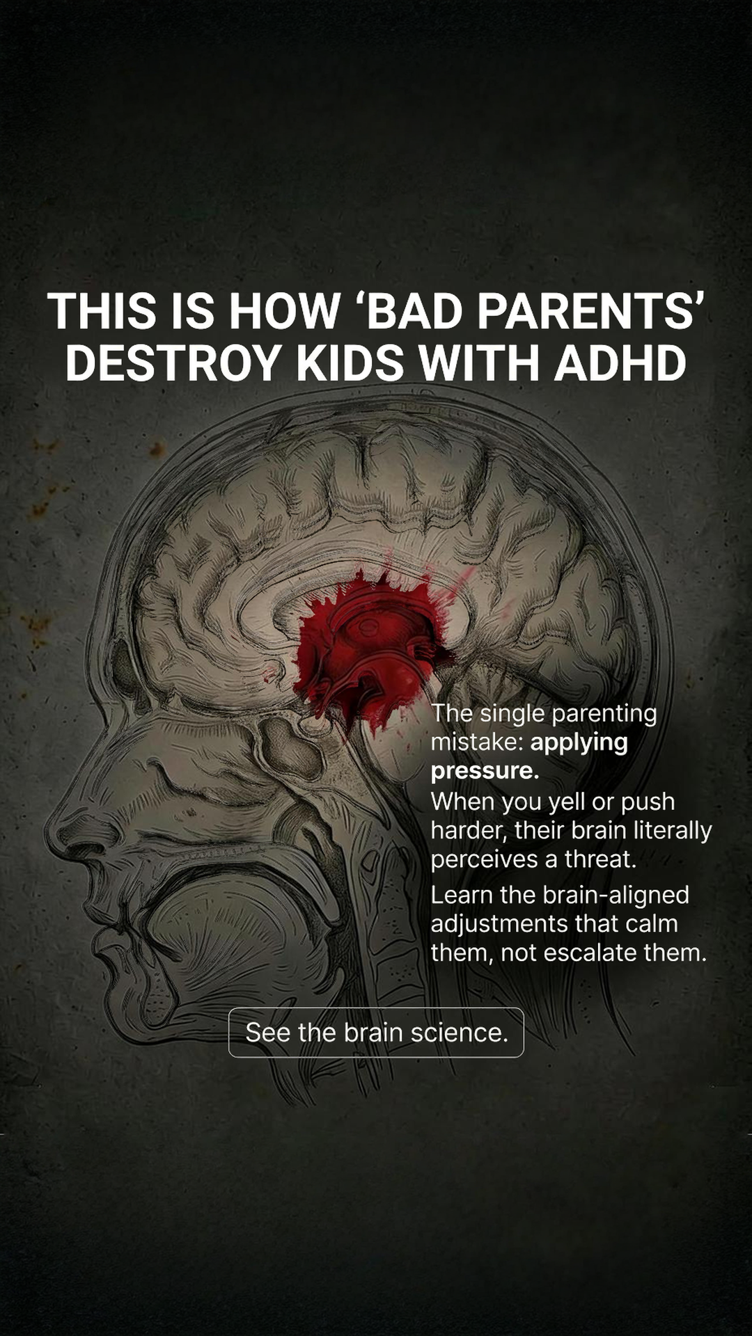 Kidology Facebook ad