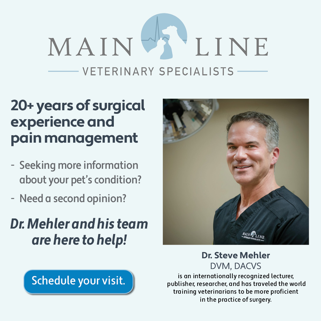 Main Line Veterinary Specialists Facebook ad: We specialize in all aspects of soft tissue…