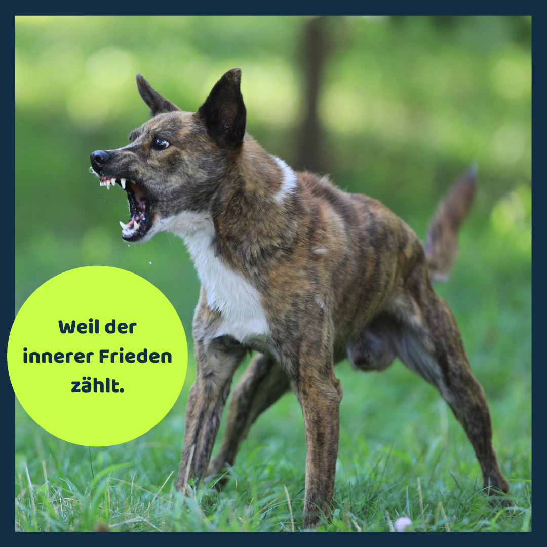 Simpego Facebook ad: Für ein harmonisches Miteinander: Verhaltenstherapie für…