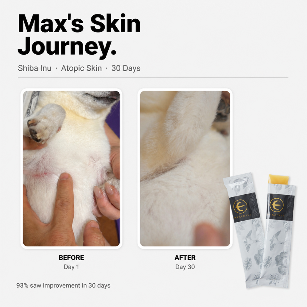 Miranest Global Facebook ad