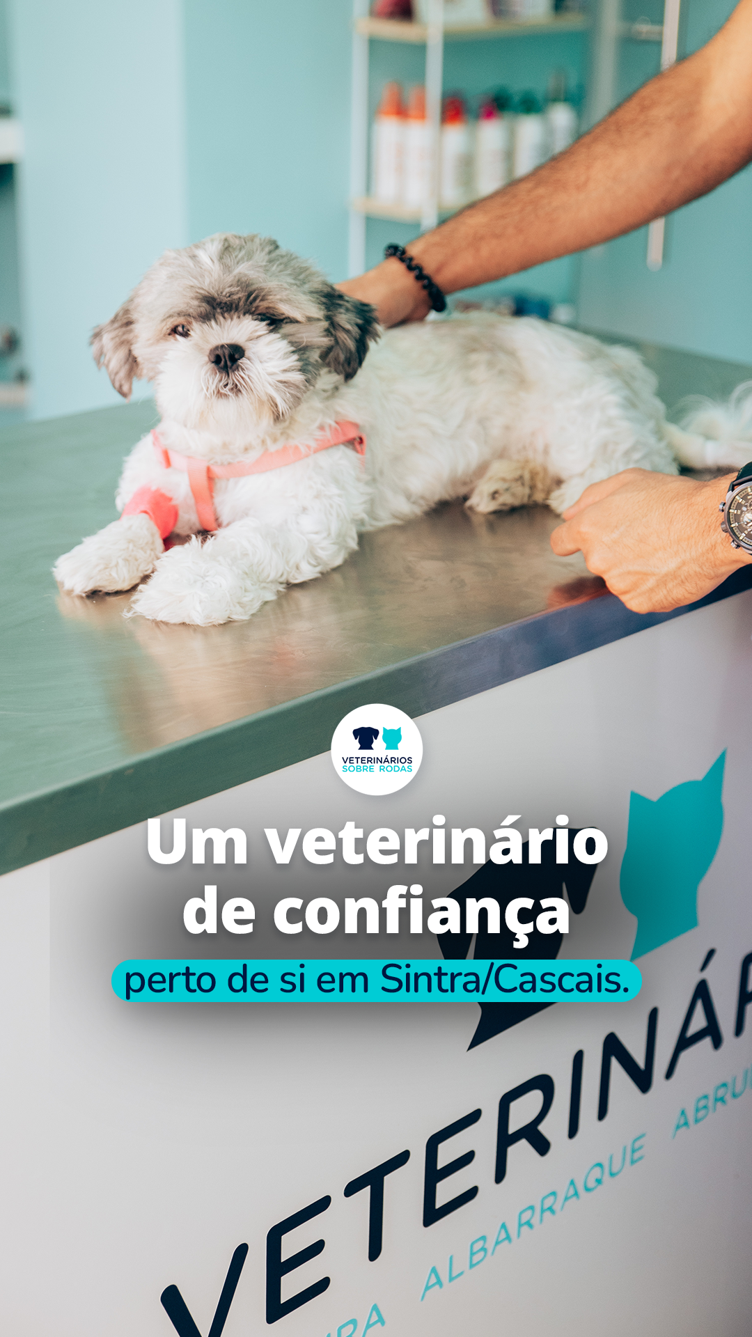 Veterinários Sobre Rodas ao Domicílio Facebook ad from Apr 14, 2026