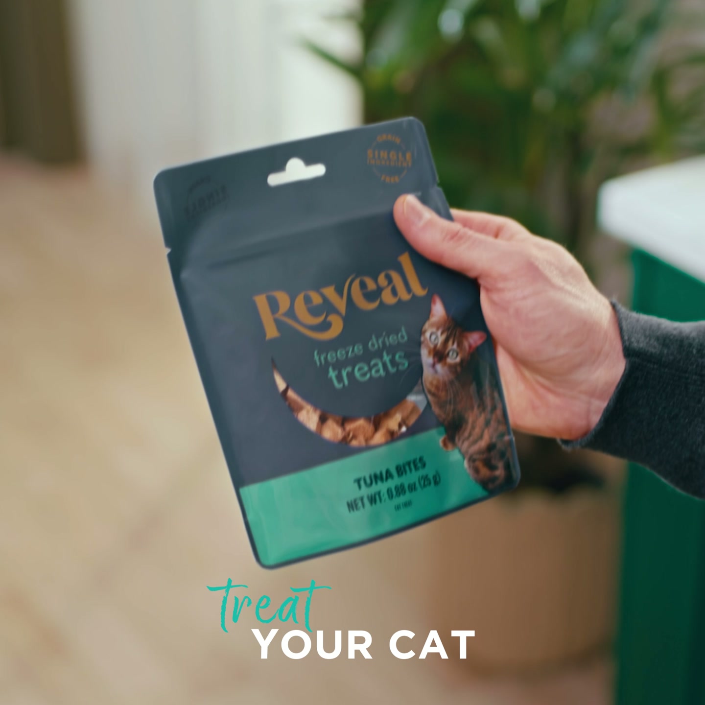 Reveal Pet food Facebook ad: Treat Them to True Joy