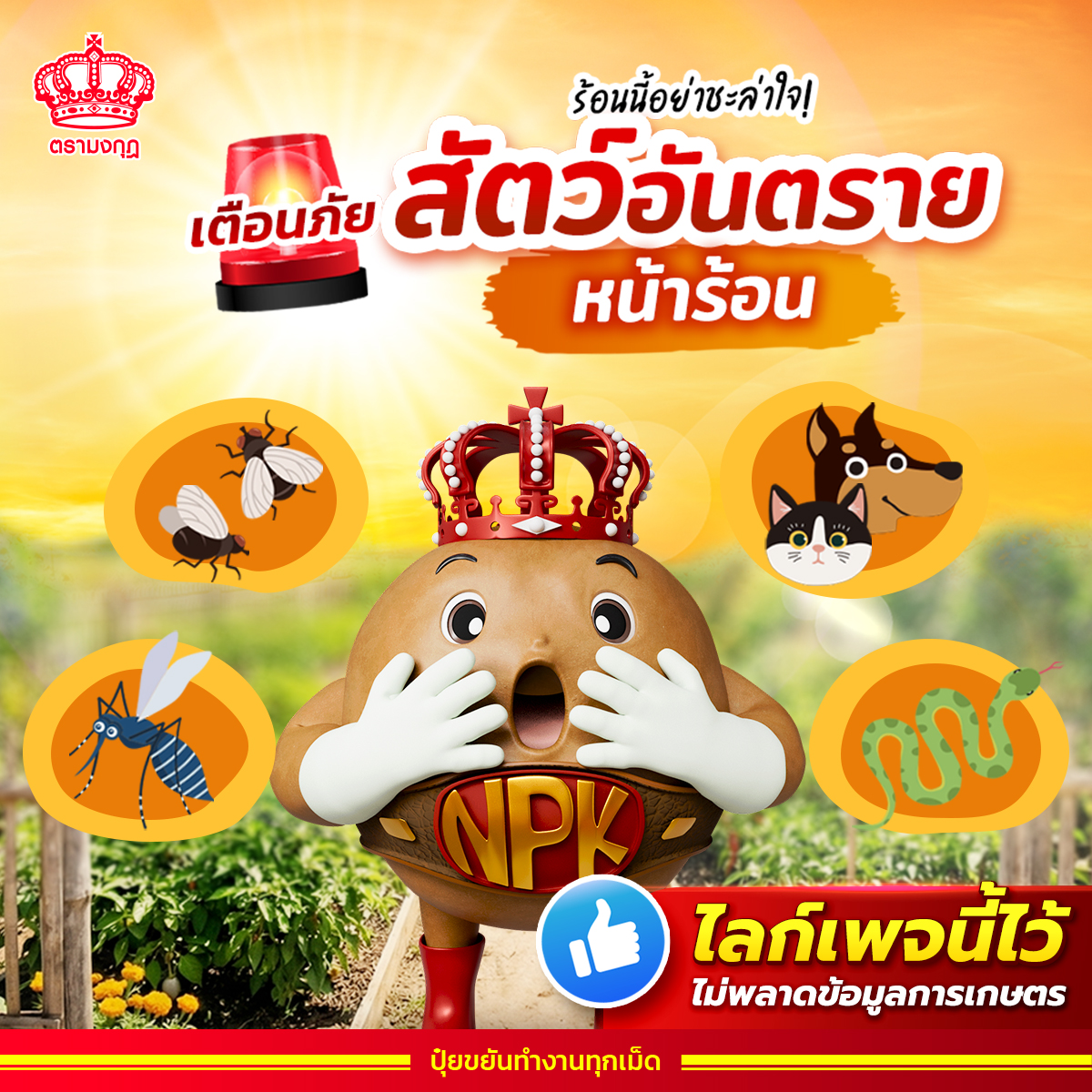 ปุ๋ยตรามงกุฎ Facebook ad