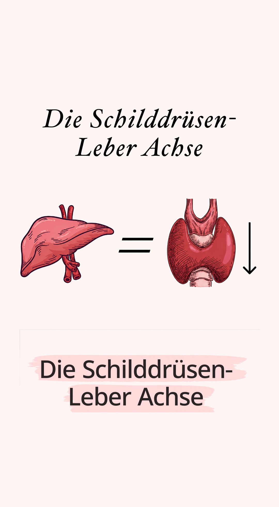 Mission Schilddrüse Facebook ad