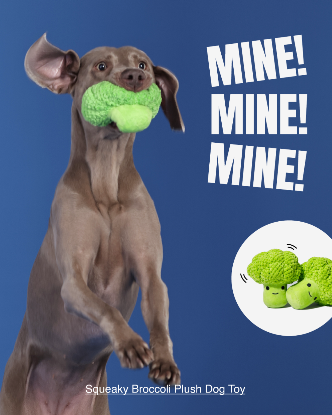 MovingMoving Facebook ad: PLUSH DOG TOYS