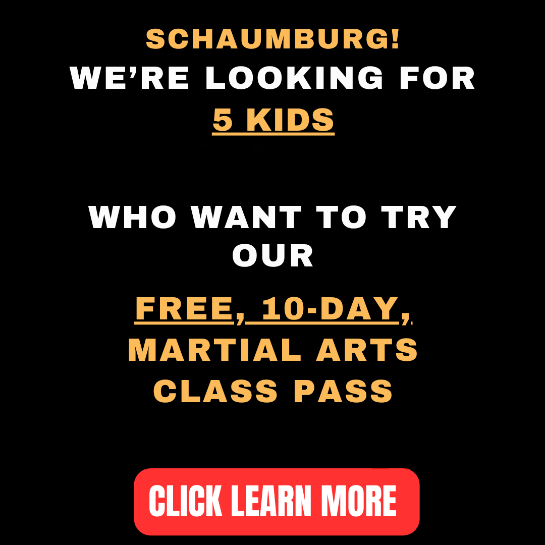 Krav Maga Force - Schaumburg Facebook ad: Want a FREE 10-Day, Kids Martial Arts Class Pass?