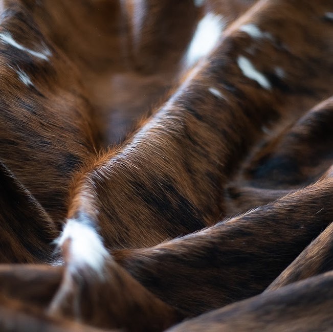 Cowhides Direct Facebook ad