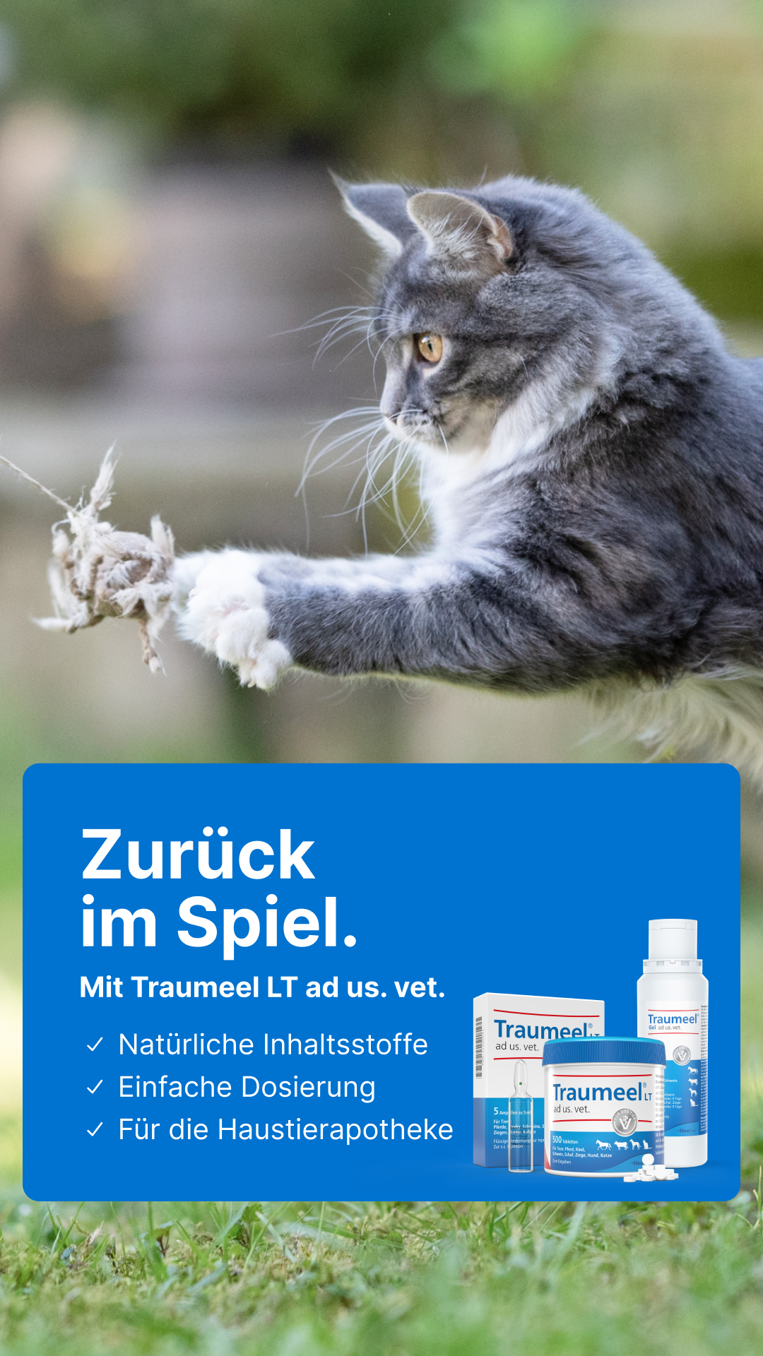 Heel Vet Facebook ad from Mar 2, 2026