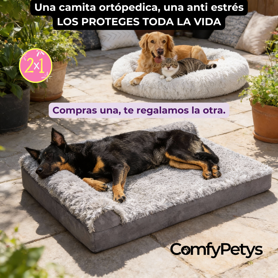 Comfypetys SAS Facebook ad: 2x1 SÓLO POR HOY