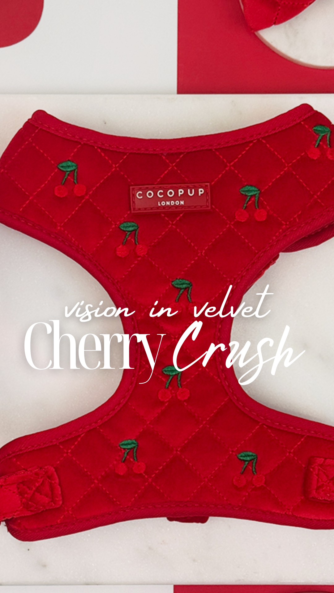 Cocopupuk Facebook ad