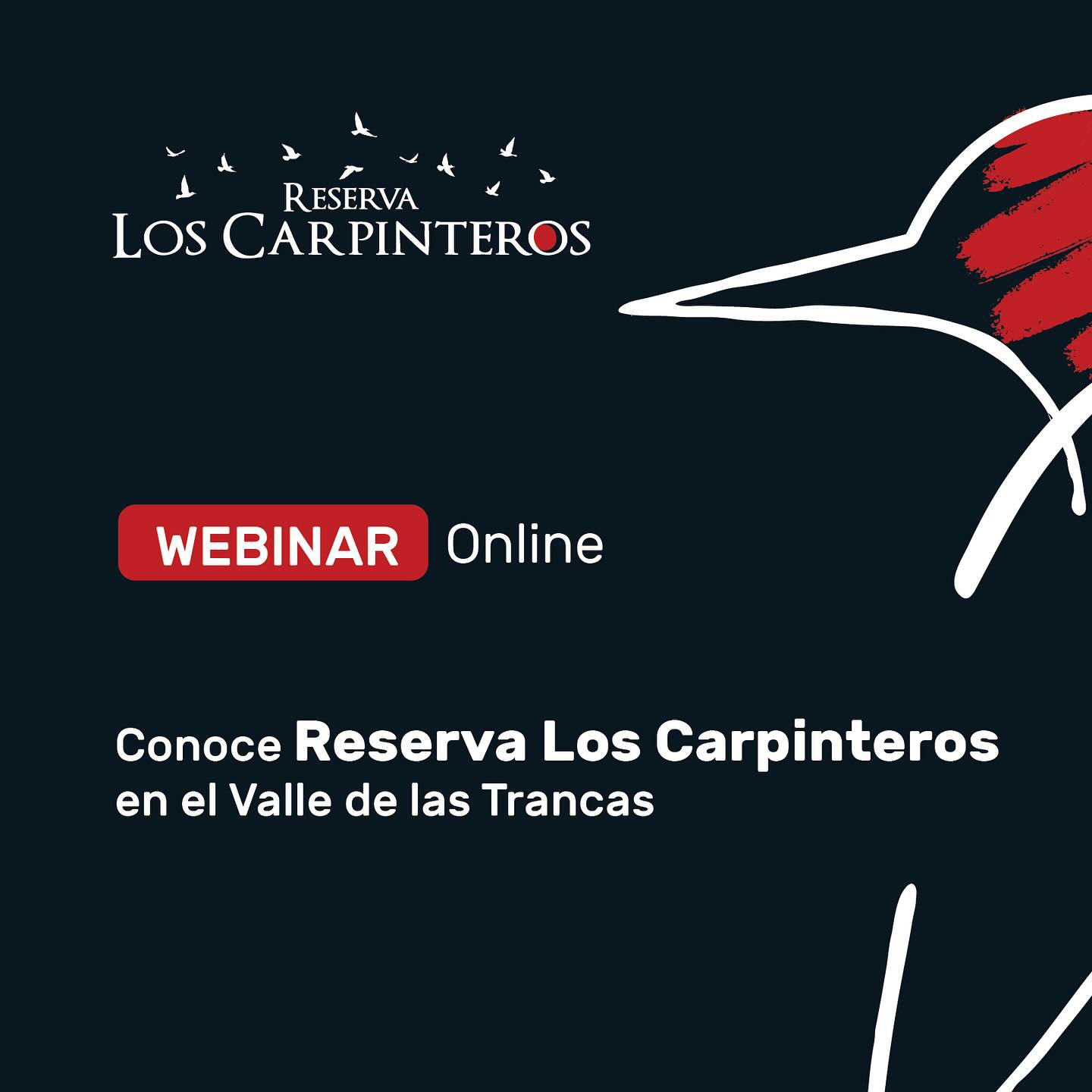 Reserva los Carpinteros Facebook ad: Webinar Online - 3 de Octubre 20:00 hrs.