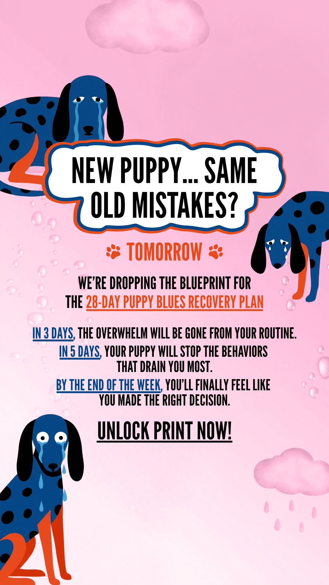 Woofz - Puppy Training Facebook ad