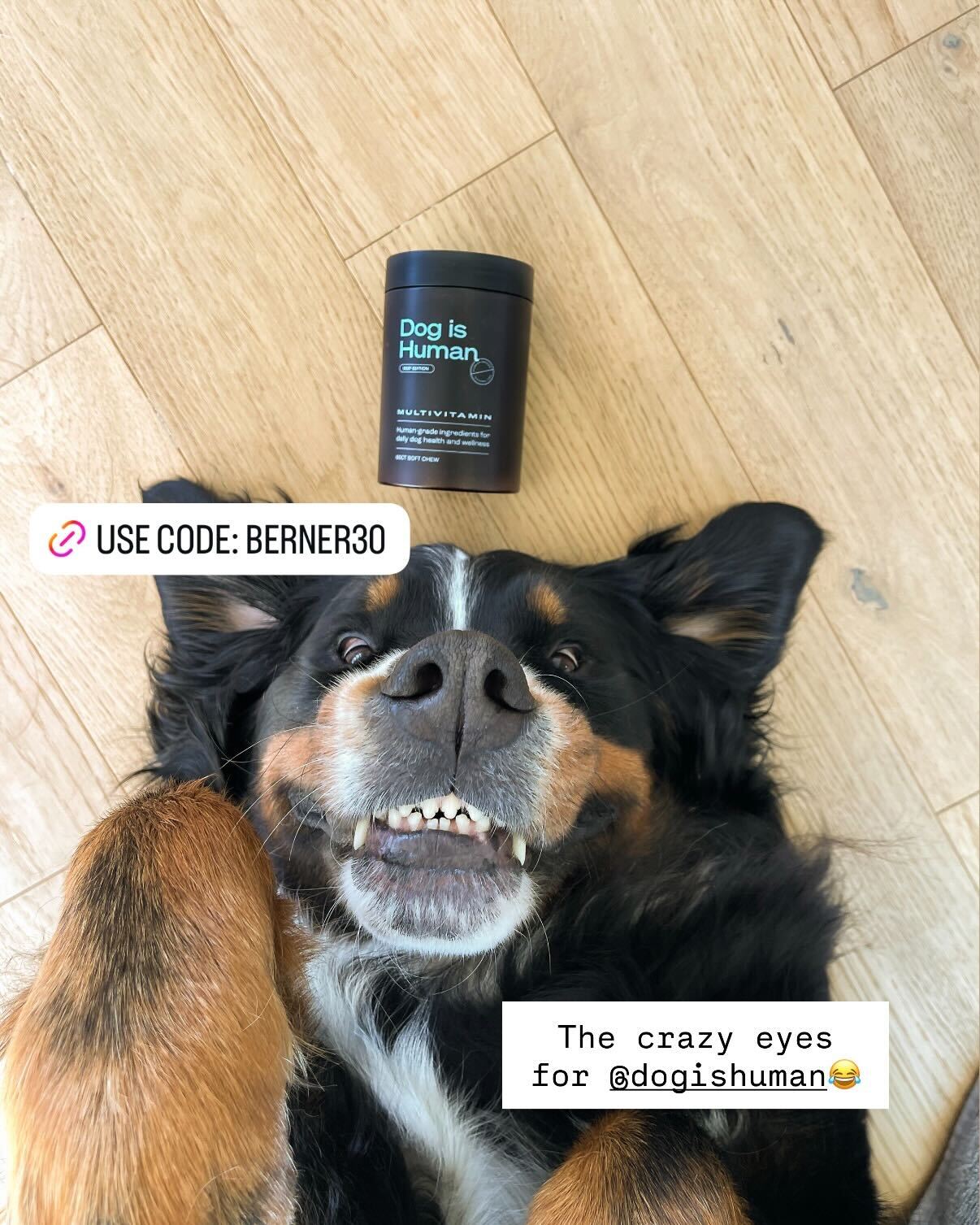 Dog is Human Facebook ad