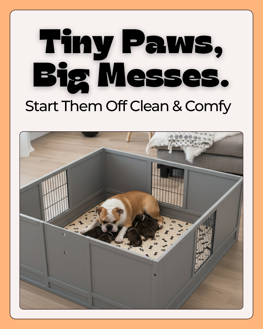 Potty Buddy Facebook ad