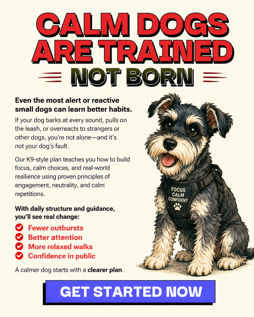 1st Dog Training Club Facebook ad
