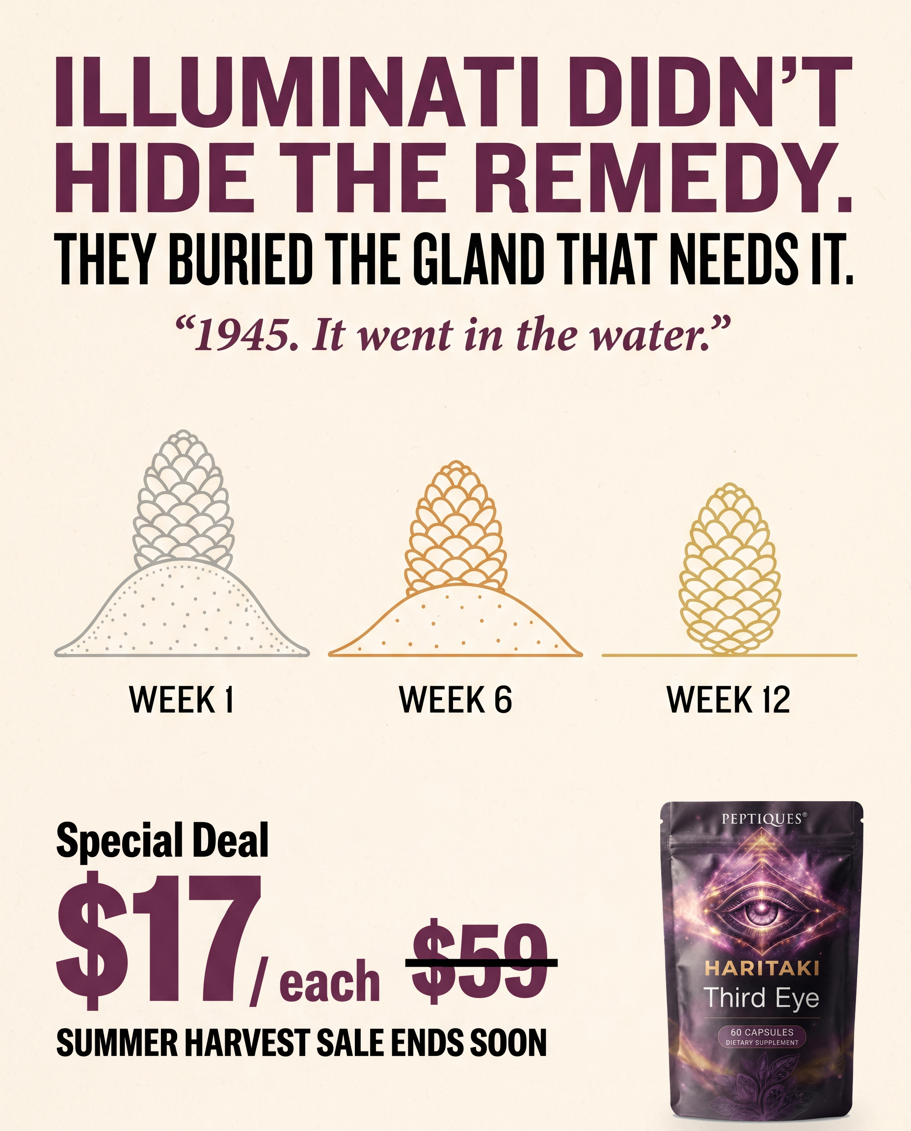 Yogi Wisdom Facebook ad