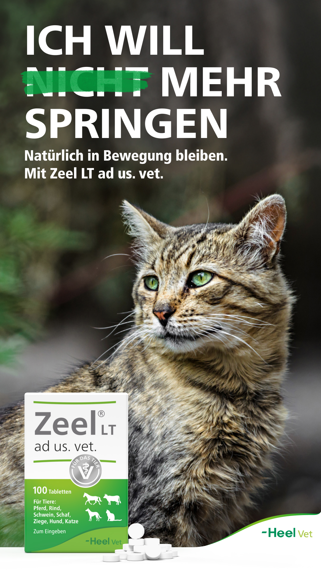 Heel Vet Facebook ad from Jan 5, 2026