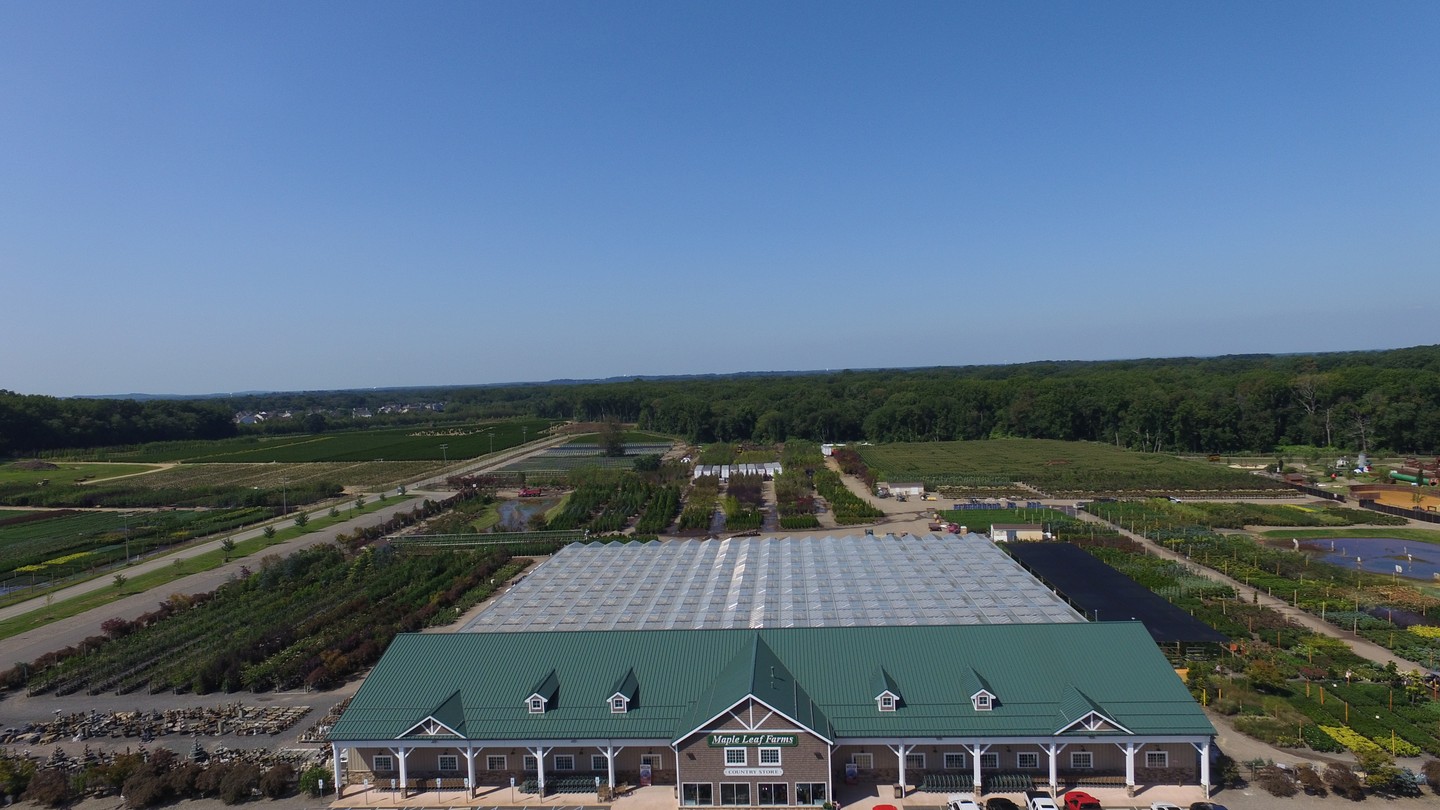 Maple Leaf Farms NJ Facebook ad: Looking for a garden center in New Jersey…