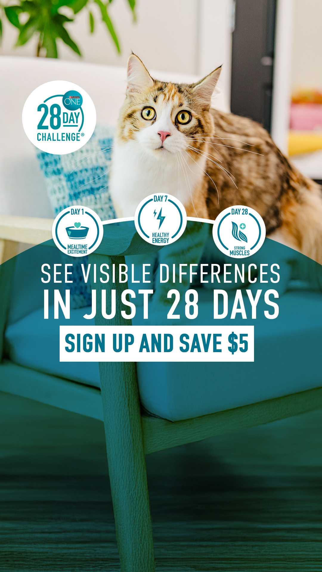 Purina ONE Facebook ad from Jun 8, 2026