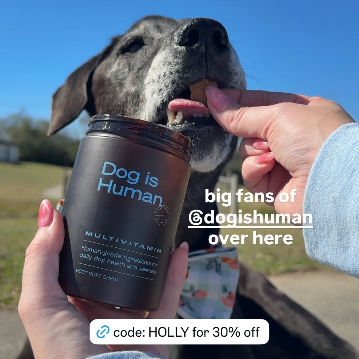 hoogie_bear_ Facebook ad from Feb 4, 2026