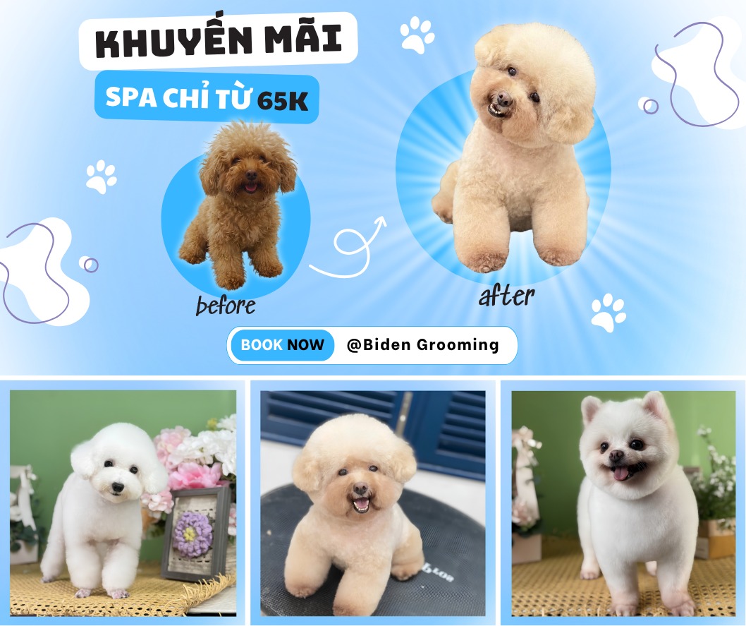 Biden - Pet Grooming & Spa Cần Thơ Facebook ad: GIẢM GIÁ 20% TẠI BIDEN GROOMING CẦN THƠ…
