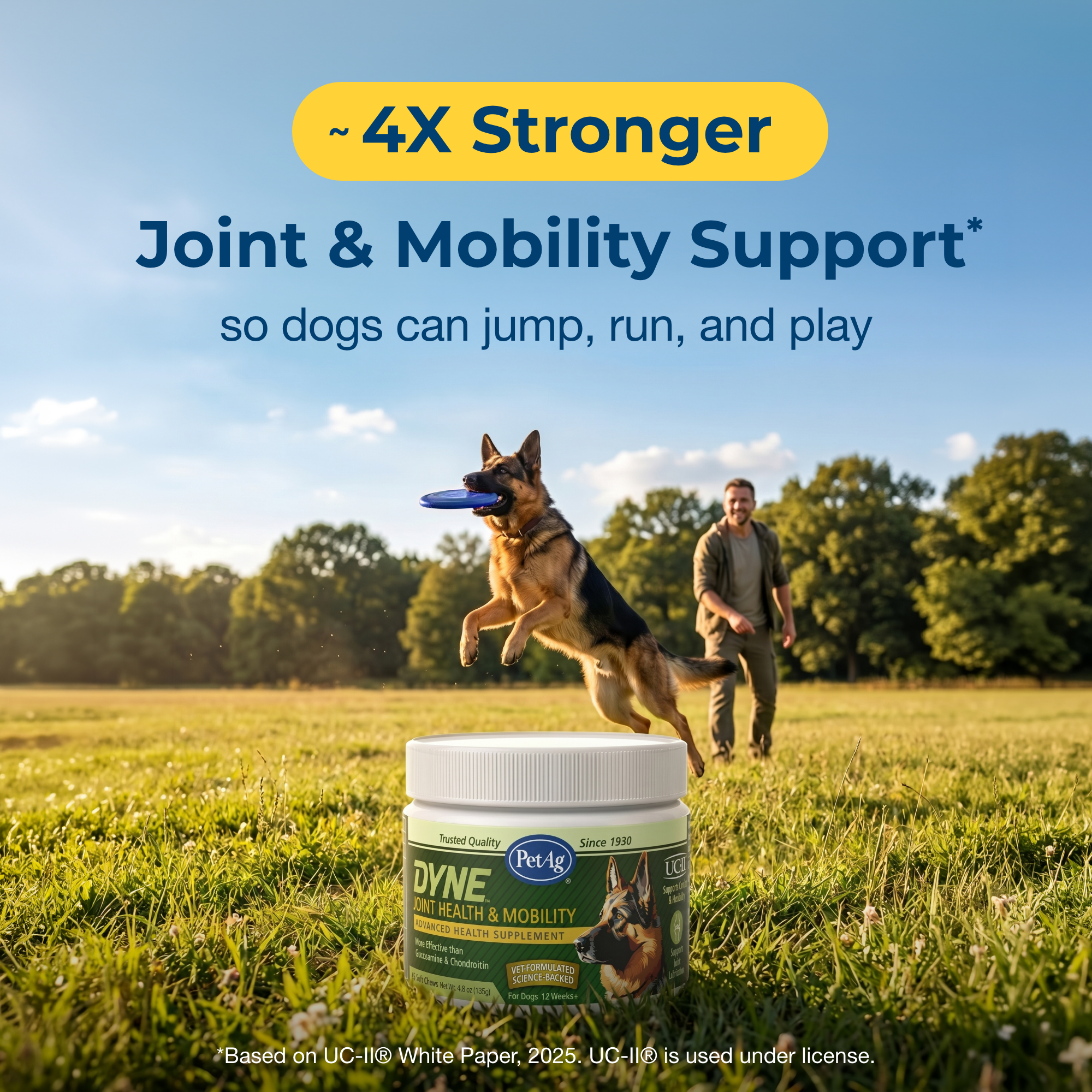 Pet-Ag Pet Products Facebook ad: Next-Generation Joint Care