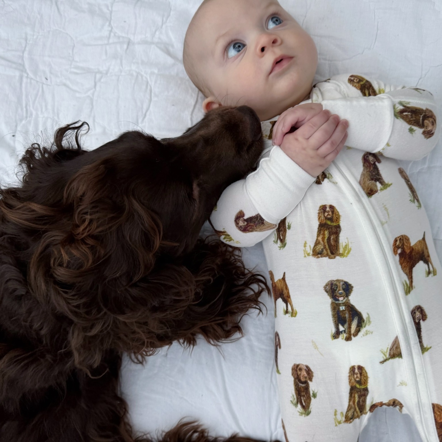 Saltwater Swaddles Facebook ad
