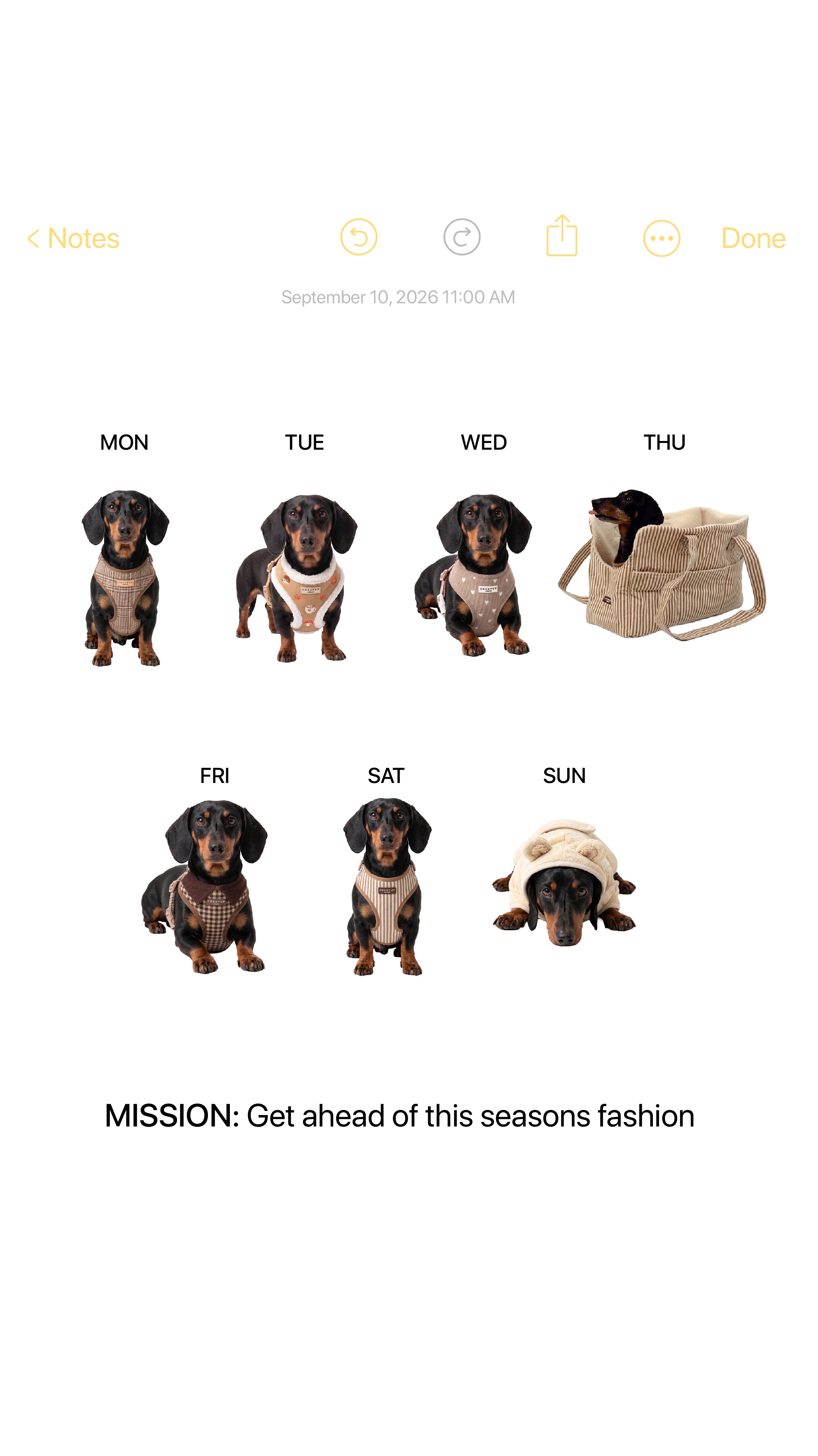 Cocopupuk Facebook ad: New Season. New Pup Fit.