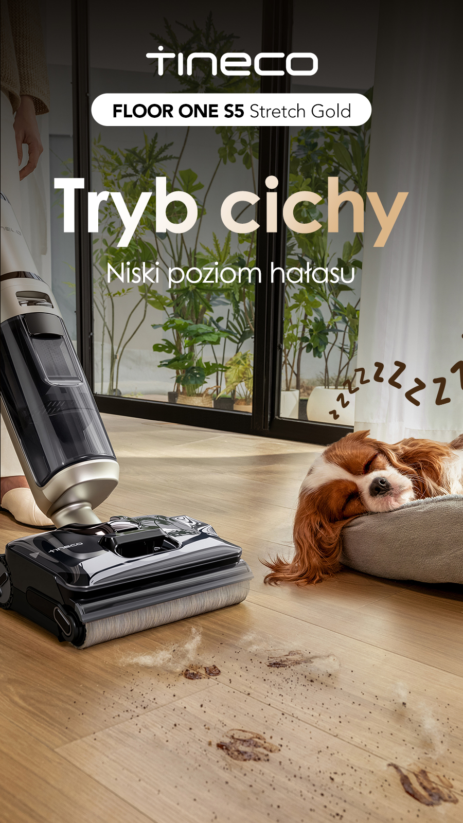 Tineco Facebook ad