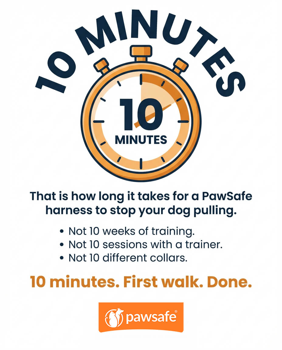 PawSafe Facebook ad