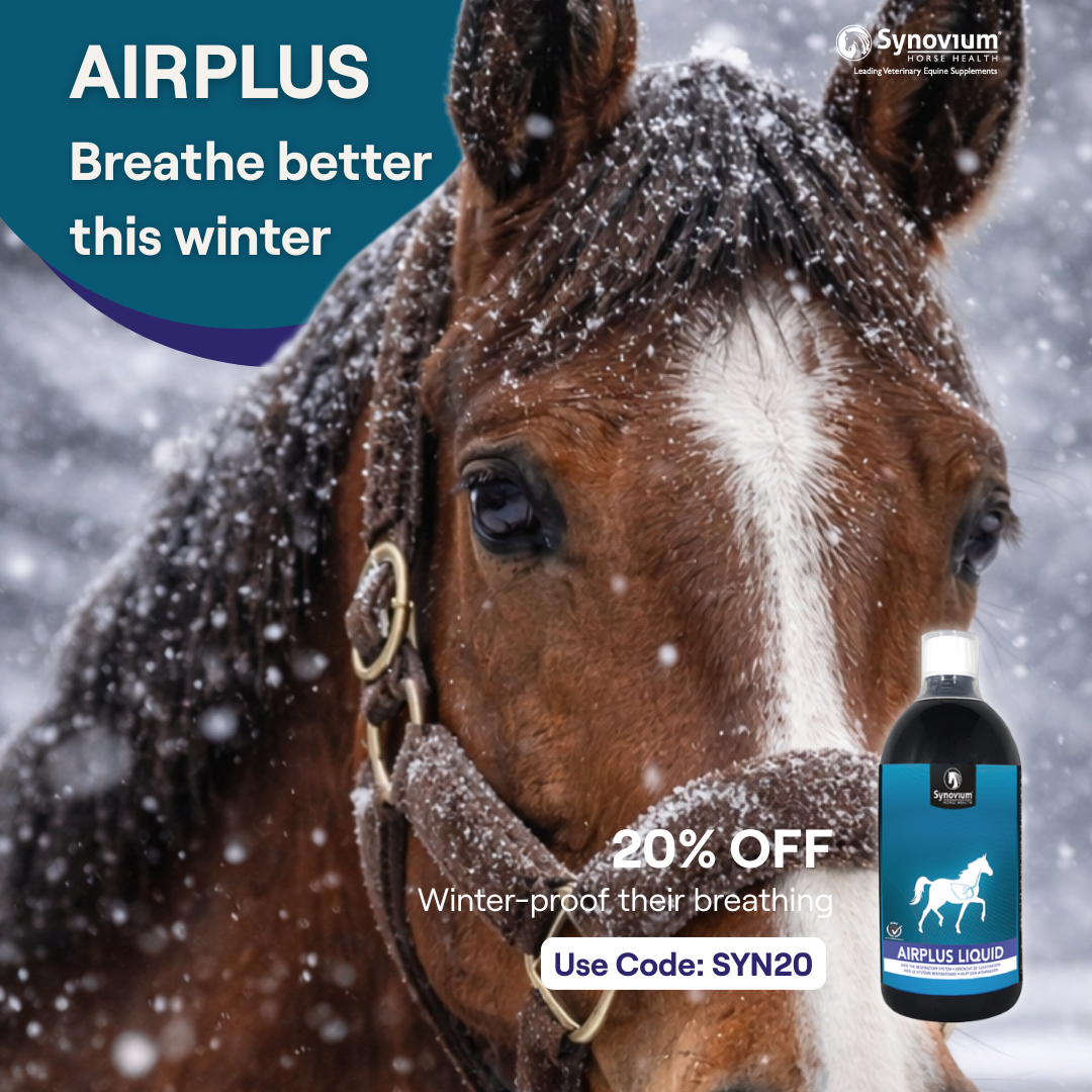 Synovium Horse Health Supplements UK Facebook ad from Mar 25, 2026