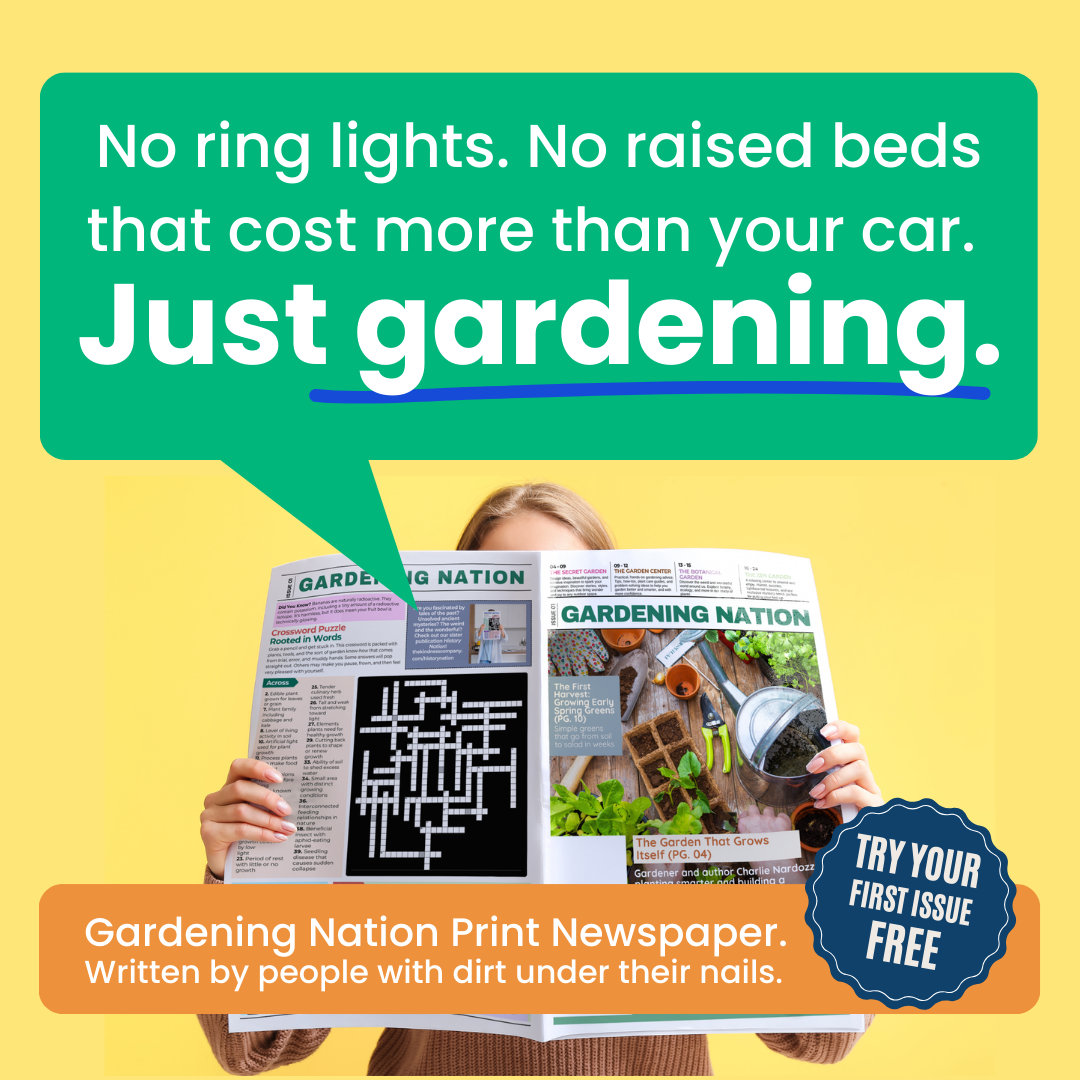The Kindness Company Facebook ad