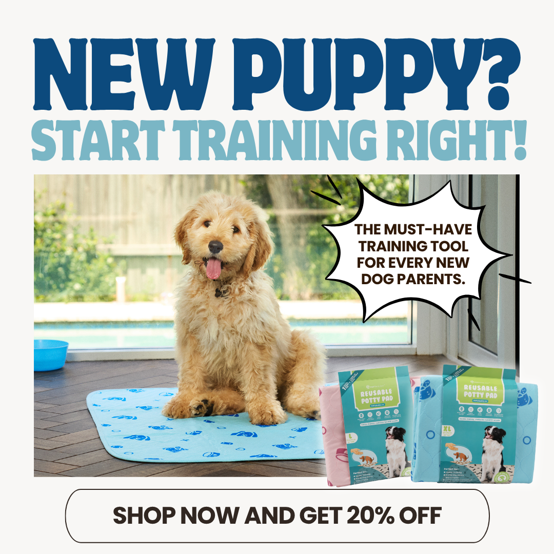 Potty Buddy Facebook ad