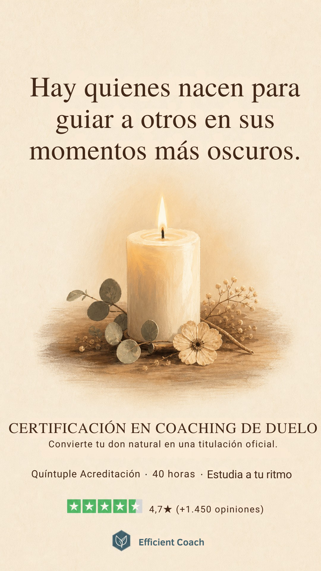 Efficient Coach Facebook ad