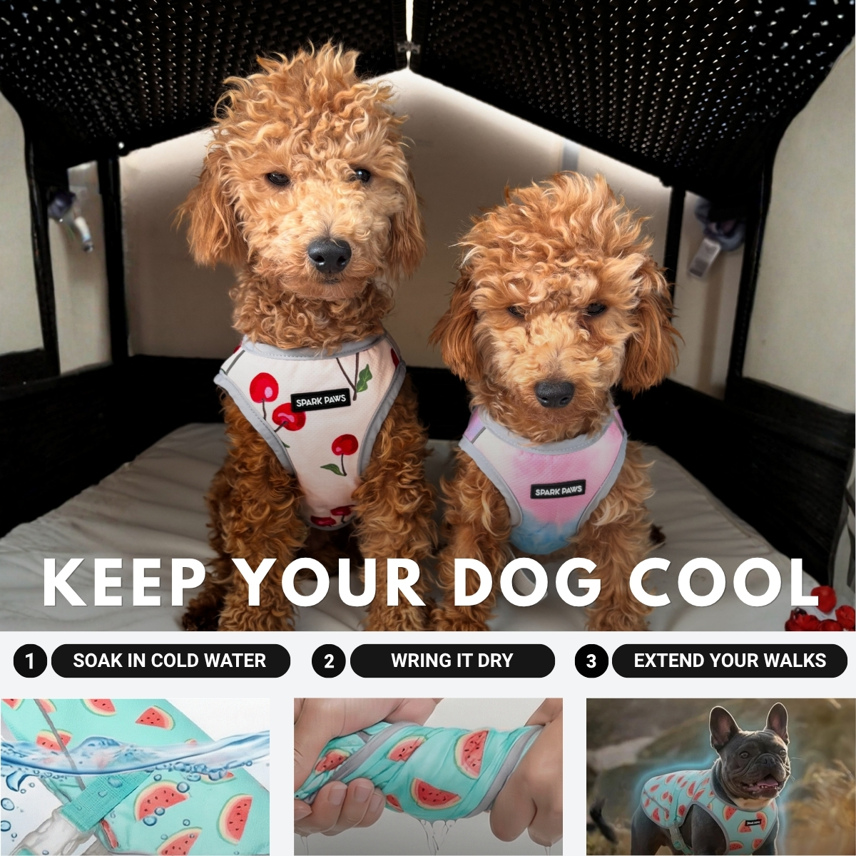 Spark Paws Facebook ad