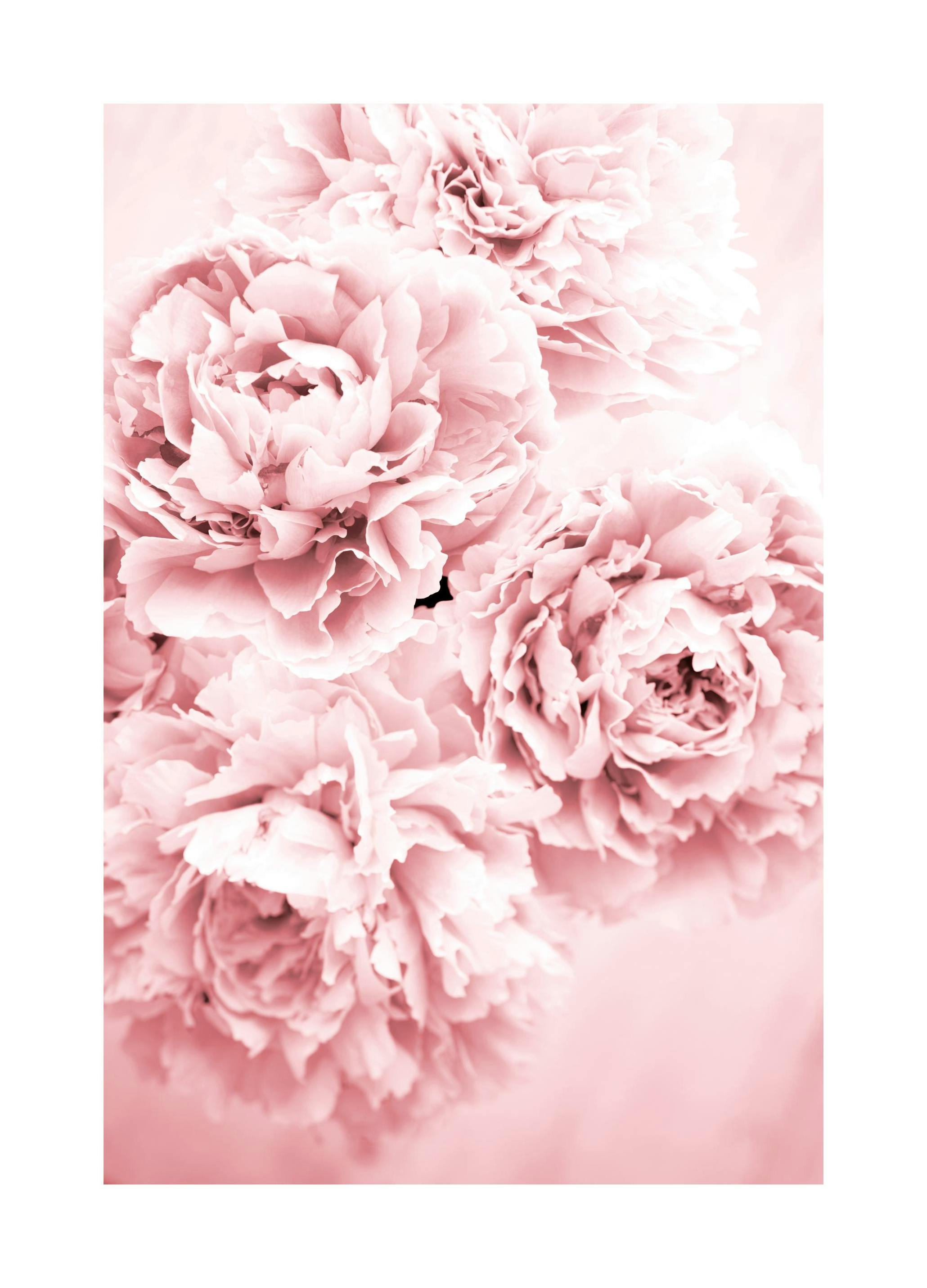 Poster Store Facebook ad: Achetez des affiches tendance et des best-sellers…