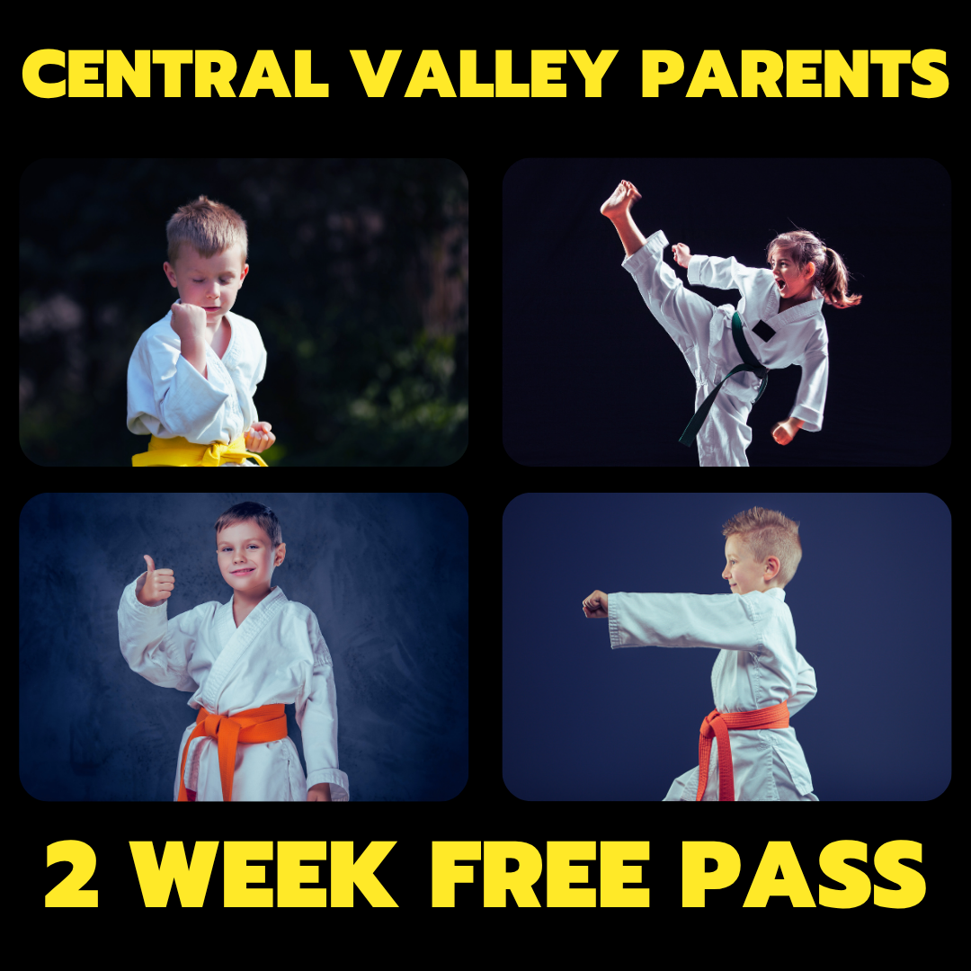 Success Martial Arts Facebook ad: 2 WEEKS OF FREE MARTIAL ARTS CLASSES!